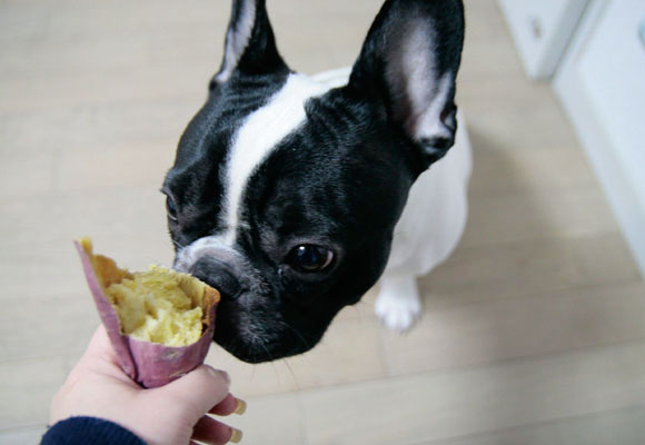 momoimo