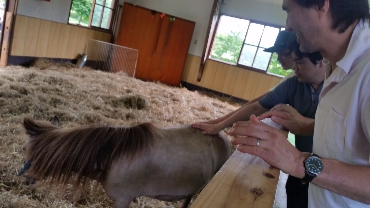 20180731_101252