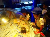 DSC00294