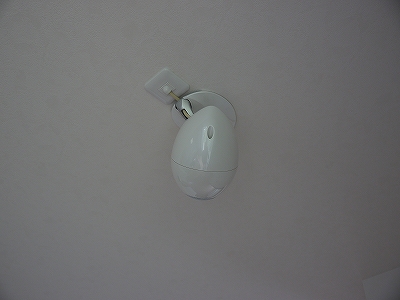 P1090829
