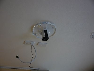 P1050531