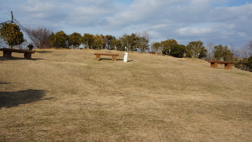 DSC03058
