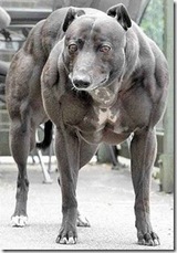 �Ų������Ѹ�