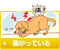 �ܤ��ˤ��롪��