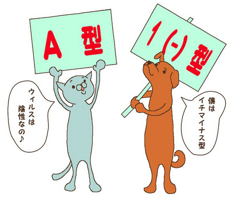 �ղò��͡������륹�����ȷ�շ�����
