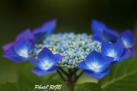 ¥¢¥¸¥µ¥¤¡¡£±D·¡¡