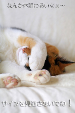 �ʤ�Ĵ�Ҥ�뤤�ʤ���