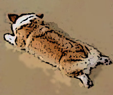 �����륷�塦���������Σģ�