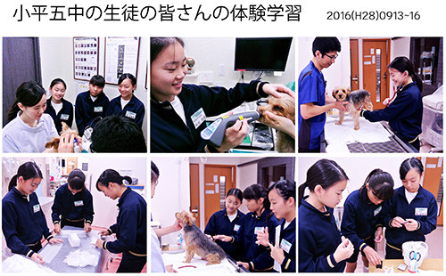 小平五中 体験学習 20160913〜16