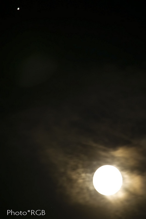 º£Ìë¤Î·î¤È¶âÀ±¡Êº¸¾å¡Ë¡¡£±D·¡¡