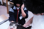 09 �θ��ؽ�