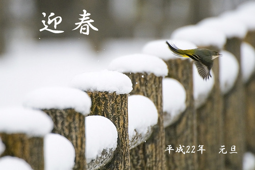 ·Þ½Õ¡¡Ê¿À®22ǯ¡¡Àã¤ÎÃæ¤Î¥¥»¥¥ì¥¤¡¡D300