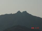 対馬の山
