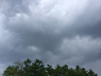 2014-05-29-10-41-06