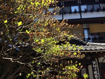 2014-05-11-11-37-30