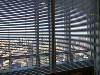 IMG_0515