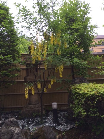2014-06-04-11-13-04