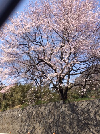2014-04-11-12-28-10