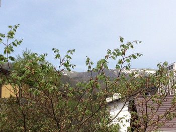 2014-05-14-09-54-48