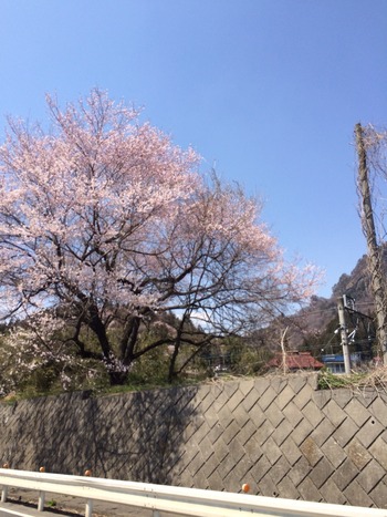2014-04-11-12-28-09