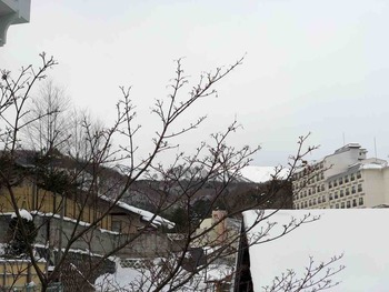IMG_7577