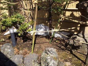 2014-04-01-10-54-46