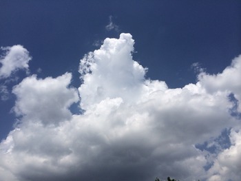 2014-05-29-09-27-08