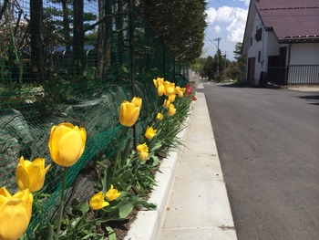 2014-05-13-12-21-45