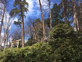 2014-04-05-10-55-51