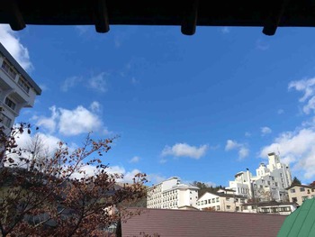 IMG_0946