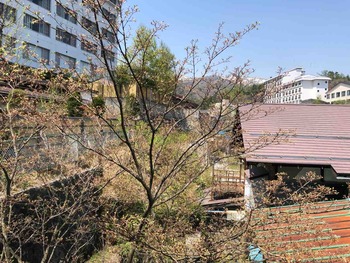 IMG_2860