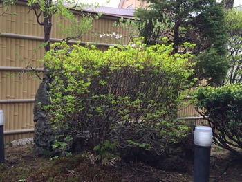 2014-05-15-10-50-44