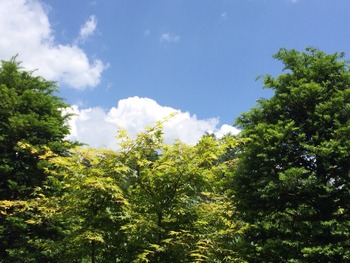 2014-06-16-10-50-26