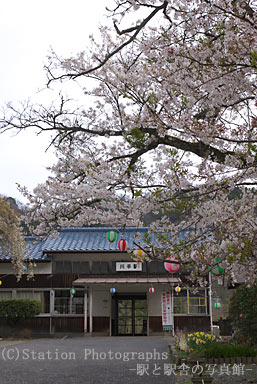川平駅・駅舎と桜
