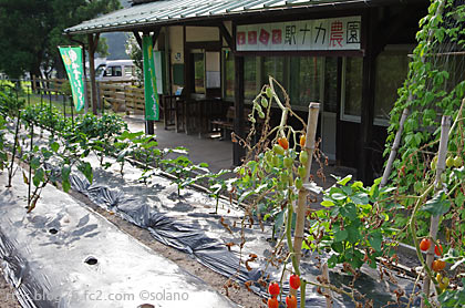 下久野駅、農園。