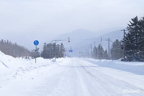 雪が積もる中、いざ駅間徒歩で上白滝駅から白滝駅へ…