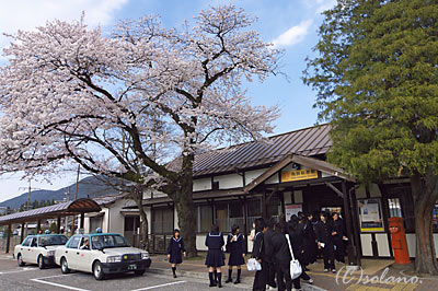桜咲く飛騨萩原駅