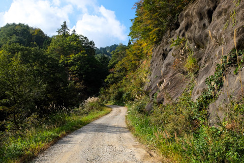 161020_04石川「下田原(旧白峰村)と林道」37