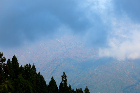 161020_05石川「林道白木峠線の白山の見える展望台」71