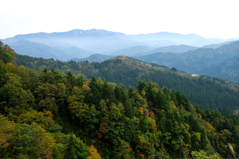 161021_01石川「林道白木峠線と白山」379