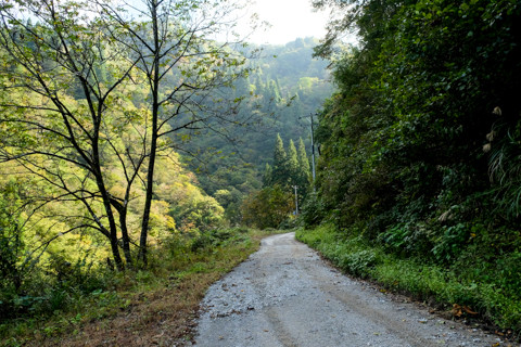 161020_04石川「下田原(旧白峰村)と林道」38