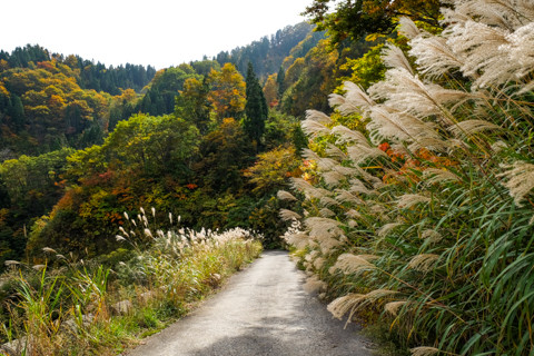 161021_02石川「林道赤谷線(白木峠側より)」028-3