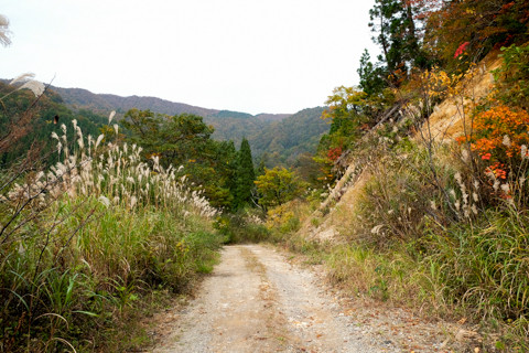 161021_02石川「林道赤谷線(白木峠側より)」052-2