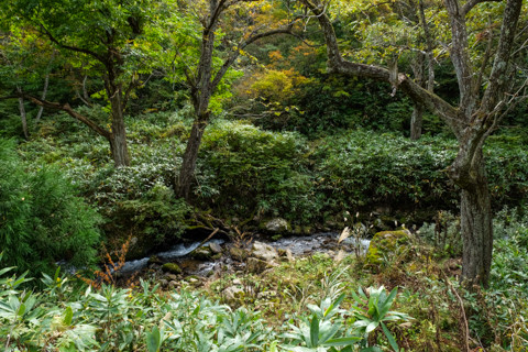 161021_02石川「林道赤谷線(白木峠側より)」089