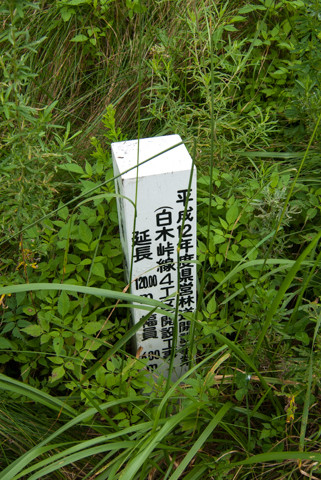 060812石川・林道赤谷線104