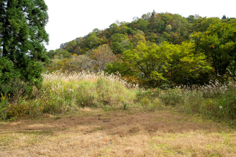 161021_02石川「林道赤谷線(白木峠側より)」067