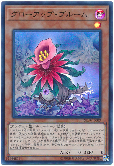 1537601172636