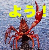�褦