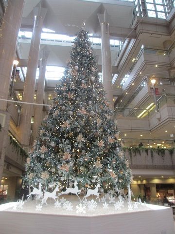 IMG_3828