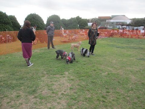 IMG_3848
